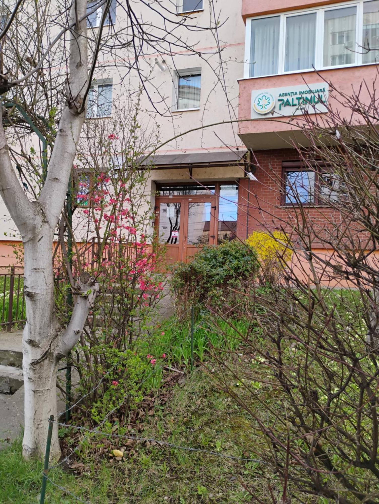 Apartament Acasa 锡比乌 外观 照片